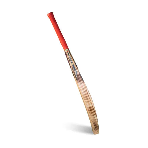 Ted – Popular Willow Cut Frame Tennis Cricket Bat