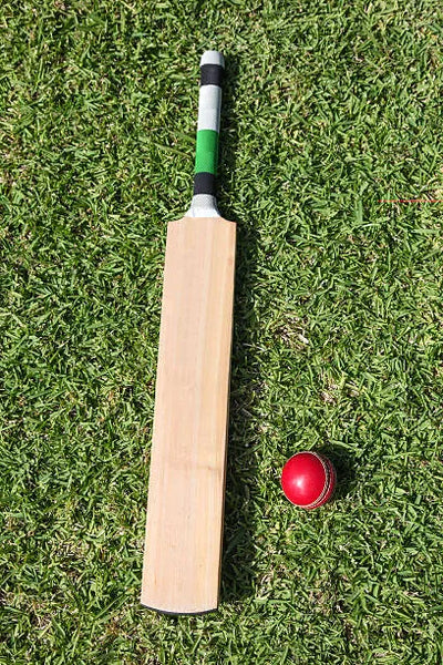 Brisk 3 (Blue) – Kashmir Willow Seasoned Cricket Bat (Grade 3)